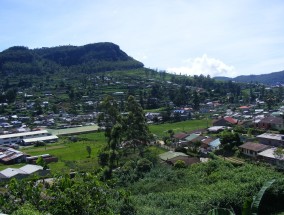 江苏野生花鸟摄影的魅力与探索江苏野生花鸟摄影基地