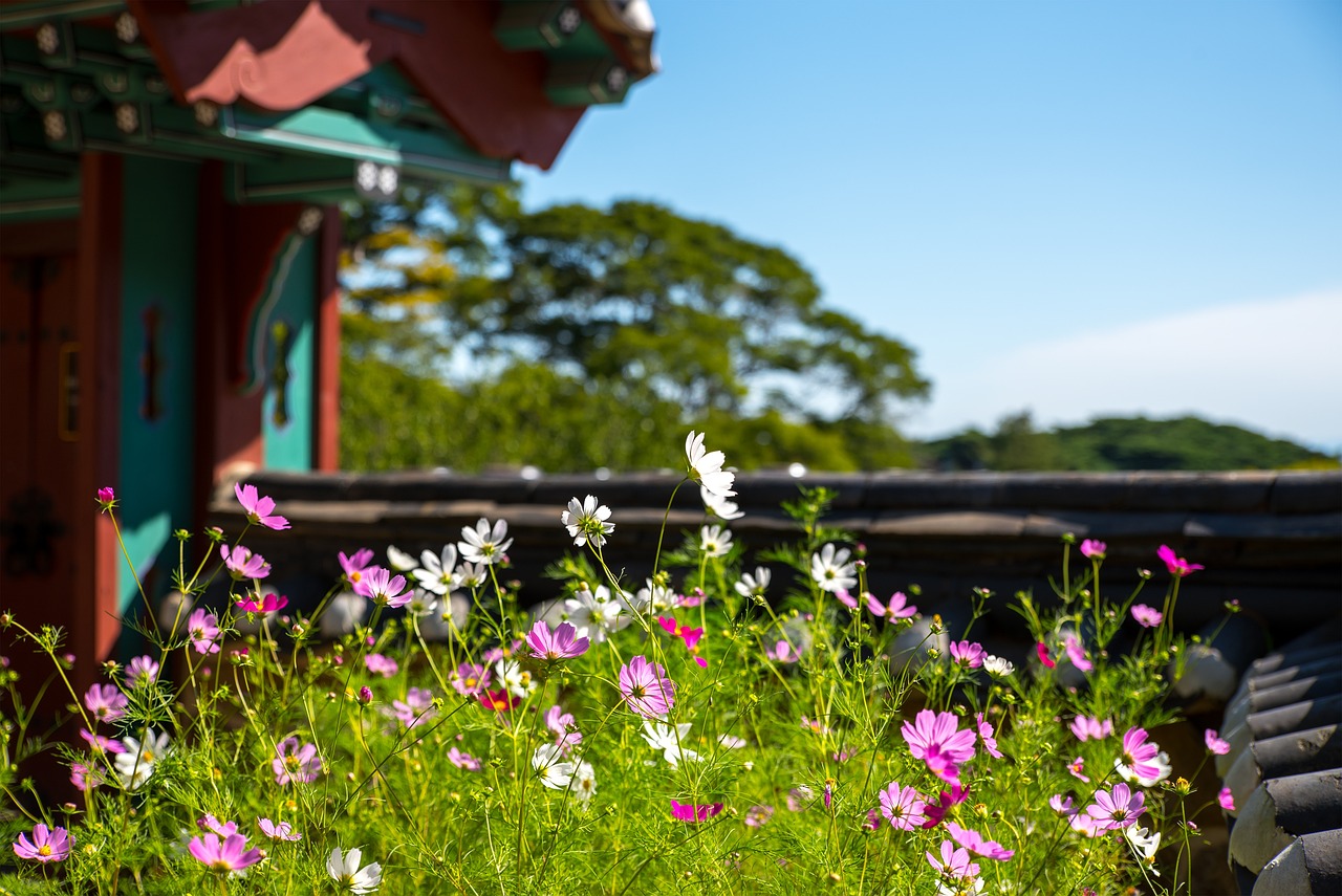 英国宗教建筑中的花卉标志与银川盆栽花卉批发市场的魅力英国本土花卉  第1张