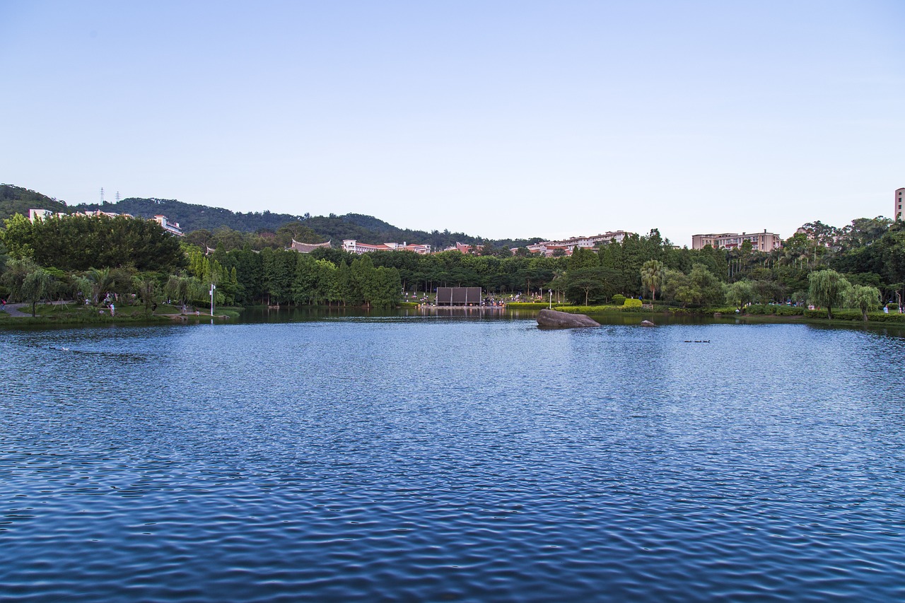 厦门大学与上海财经，两所高等学府的独特魅力与比较厦门大学 上海财经大学  第1张