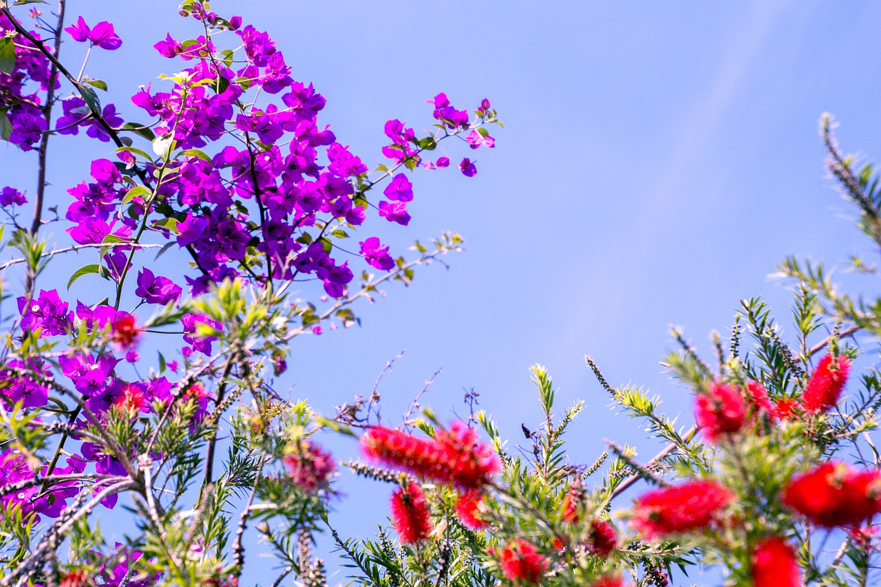 梦境花卉园艺，油画浪漫花卉画的艺术之旅梦境花园手绘图片成品  第1张