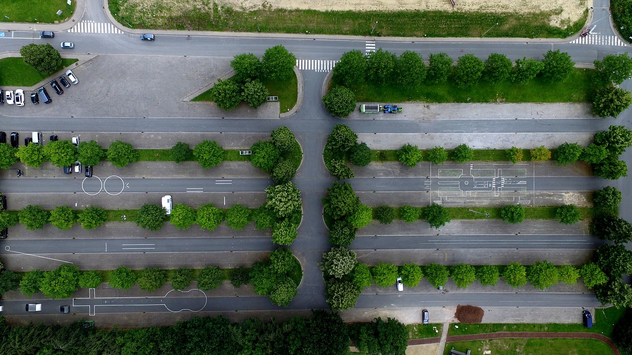 沂州花卉市场，室外绿植花卉租赁费用解析沂州花卉市场开业  第1张