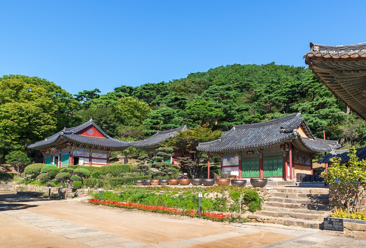 花卉宝藏，济宁花卉市场的探索之旅济宁有几个花卉市场  第1张