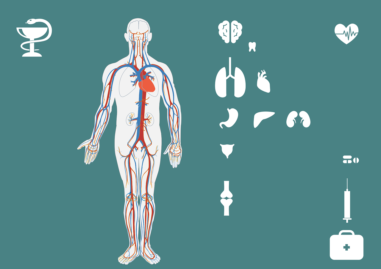 和谐健康辟谣宣传——守护健康，从科学认知开始和谐健康辟谣宣传图片  第1张