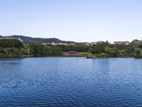 厦门大学与上海财经，两所高等学府的独特魅力与比较厦门大学 上海财经大学