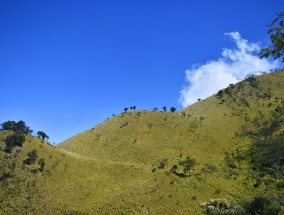 连江县长龙镇茶山摄影之旅连江长龙茶山风景龙镇一日游