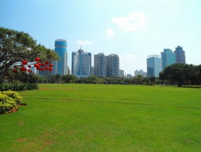 校园花卉计划——永和花卉栽培的实践与探索学校花卉园种植方案